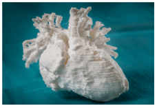 3d printed organs heart